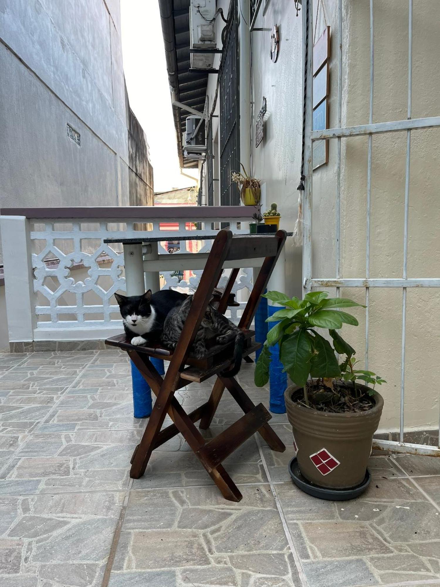 Aldeia Hostel ماناوس المظهر الخارجي الصورة