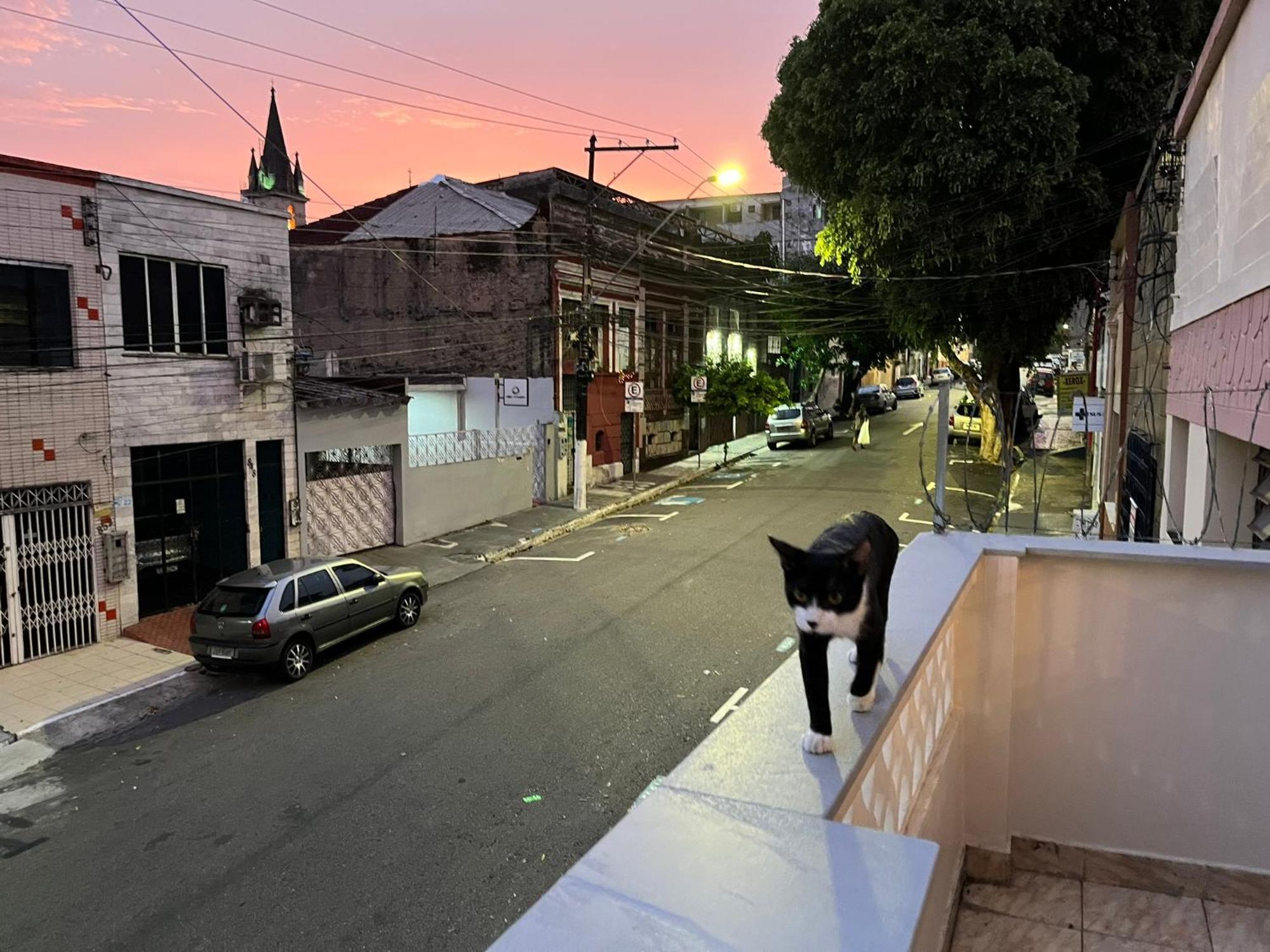 Aldeia Hostel ماناوس المظهر الخارجي الصورة